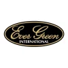 Autocollant Ever Green Eg Boat Deck Sticker W400
