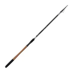 Canne Au Posé Télescopique Shimano Catana Allround Tele Gt