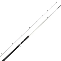 Canne Casting Abu Garcia Beast X2 Trolling