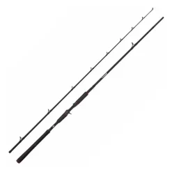 Canne Casting Abu Garcia Beast Casting Rod