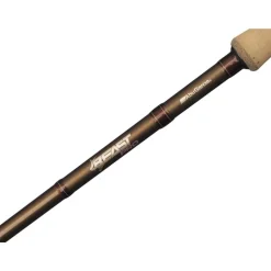 Canne Casting Abu Garcia Beast Pro Casting Rod