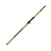 Canne Casting Abu Garcia Beast Pro Casting Rod 1+1