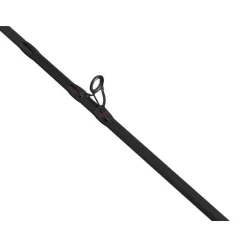 Canne Casting Berkley Zilla Pike Casting Rod