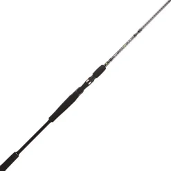 Canne Casting Bft Raptor G2 Jerkbait