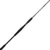 Canne Casting Bft Raptor G2 Swimbait