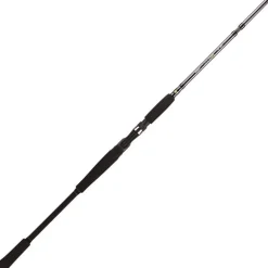 Canne Casting Bft Raptor G2 Swimbait