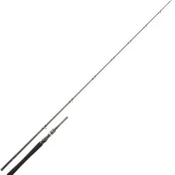Canne Casting Daiwa Exceler Casting 1+1