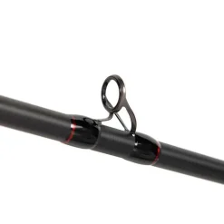 Canne Casting Fox Rage Prism X Big Bait Extreme Casting Rod