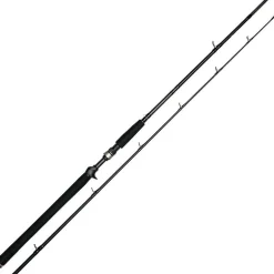 Canne Casting Westin W3 Jerkbait-T 2Nd