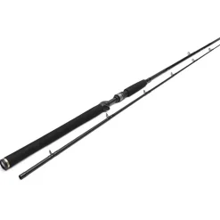 Canne Casting Westin W3 Jerkbait-T 2Nd