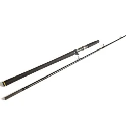 Canne Casting Westin W3 Monsterstick-T 2Nd