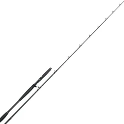 Canne Casting Westin W10 Monsterstick-T