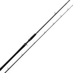 Canne Casting Westin W2 Powercast-T