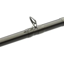 Canne Casting Westin W2 Salmon-T