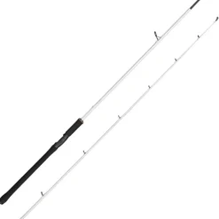 Canne Spinning Abu Garcia Beast X2 Trolling