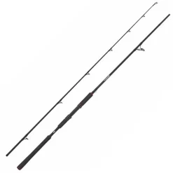 Canne Spinning Abu Garcia Beast Spinning Rod