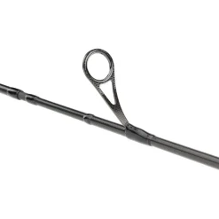 Canne Spinning Daiwa Prorex Ags Spinning
