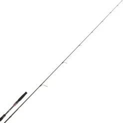 Canne Spinning Daiwa Steez Ags Spinning