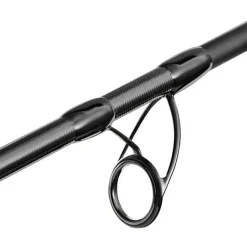 Canne Spinning Favorite Black Swan
