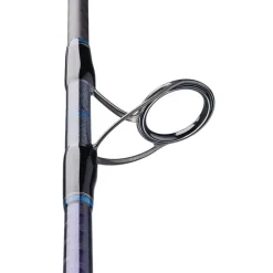 Canne Spinning Hearty Rise Slash Monster Travel Peacock