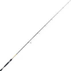 Canne Spinning Molix Skirmjan Freshwater