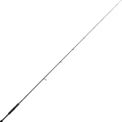 Canne Spinning Shimano Curado