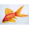 Coussin Poisson Rouge Gaby