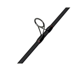 Ensemble Abu Garcia Fast Attack Spinning Combo