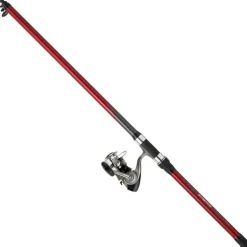 Ensemble Carnassier Telescopique Daiwa Pike