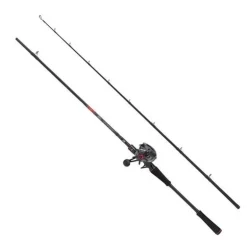 Ensemble Casting Abu Garcia Max Lp Pike Combo