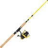 Ensemble Spinning Abu Garcia Impact Combo