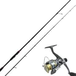 Ensemble Spinning Autain Azanori + Xcf