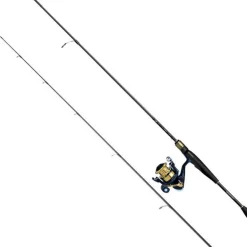 Ensemble Spinning Daiwa Pack Rs