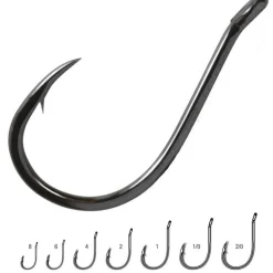 Hamecon Simple Vmc Chinu Specimen 7139