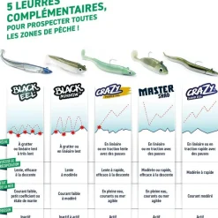 Kit Leurre Souple Armé Fiiish Combo Black Minnow 105 + Tête Plombée Offshore