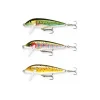 Kit Truite Poisson Nageur Rapala - 5Cm