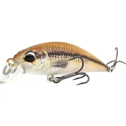 Leurre Coulant Duo Spearhead Ryuki 38S - 4Cm