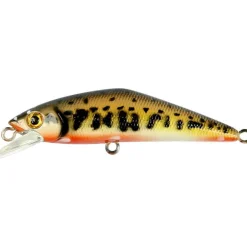Leurre Coulant Smith D-Contact Fes - 5Cm