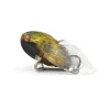 Leurre De Surface Megabass Nano Siglett - 2.4Cm