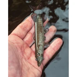 Leurre Souple Armé Fox Rage Ultra-Realistic Pike Replicant
