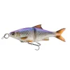 Leurre Souple Armé Savage Gear 3D Line Thru Glide Roach - 17Cm