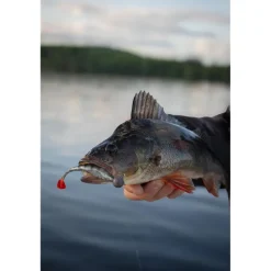 Leurre Souple Fox Rage Scent Shad - 7Cm
