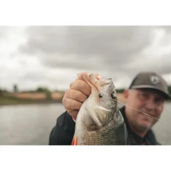 Leurre Souple Fox Rage Scent Shad - 7Cm