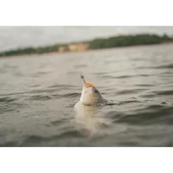 Leurre Souple Fox Rage Scent Shad - 9Cm