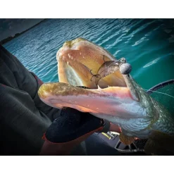 Leurre Souple Fox Rage Scent Shad - 11Cm