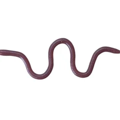 Leurre Souple O.S.P Mimizu Small - 7Cm - Par 10