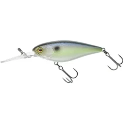 Leurre Suspending Jackall Flat Dd Squirrel 79 Sp - 7.9Cm