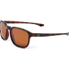 Lunettes Polarisantes Fortis Strokes