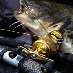 Moulinet Casting Shimano Calcutta Conquest
