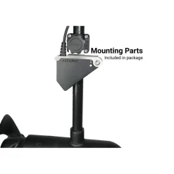 Sonde Accuphy Live Pinglive Mini